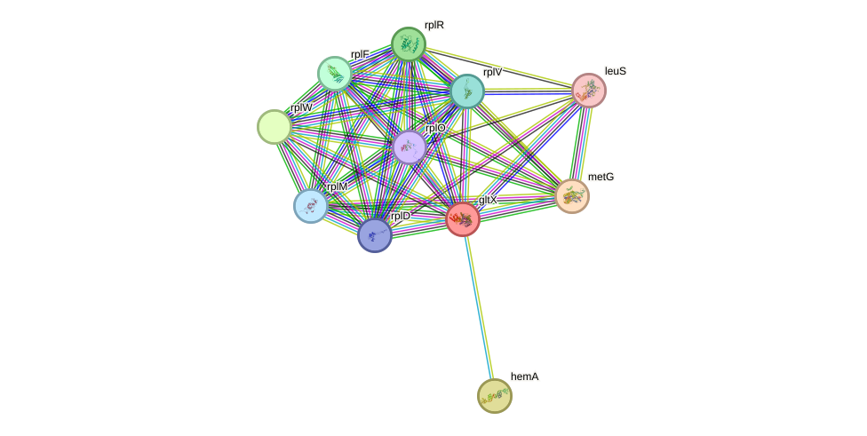 STRING protein interaction network