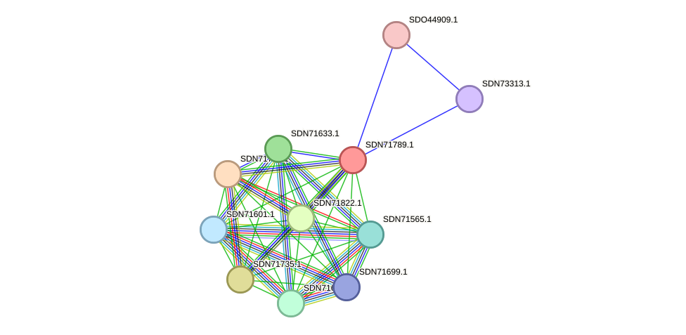 STRING protein interaction network