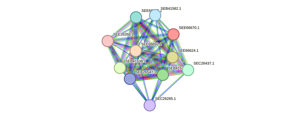 STRING protein interaction network