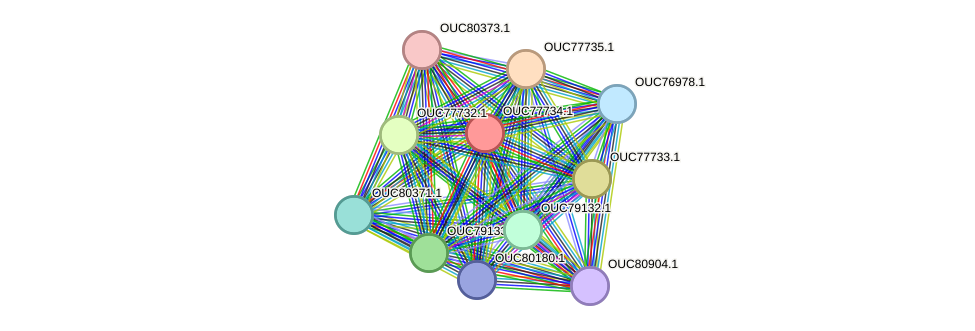 STRING protein interaction network