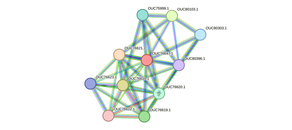 STRING protein interaction network