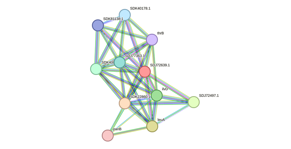 STRING protein interaction network