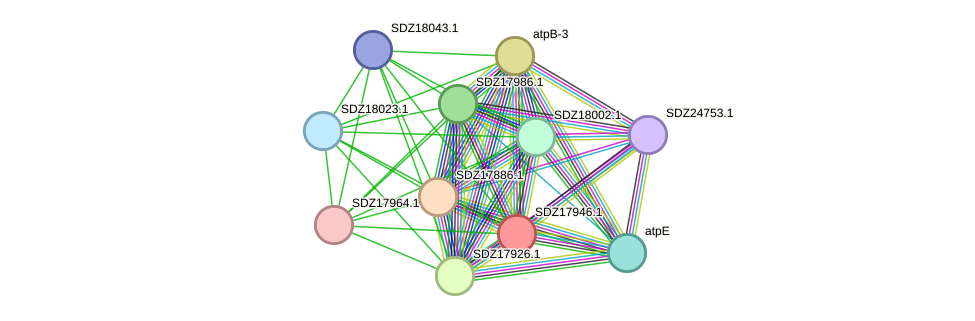 STRING protein interaction network