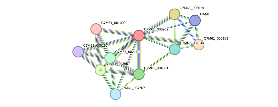 STRING protein interaction network