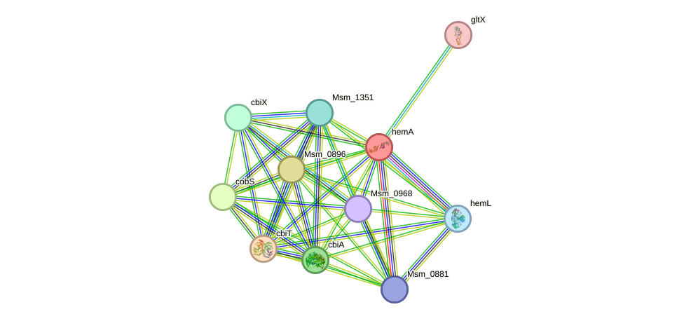 STRING protein interaction network