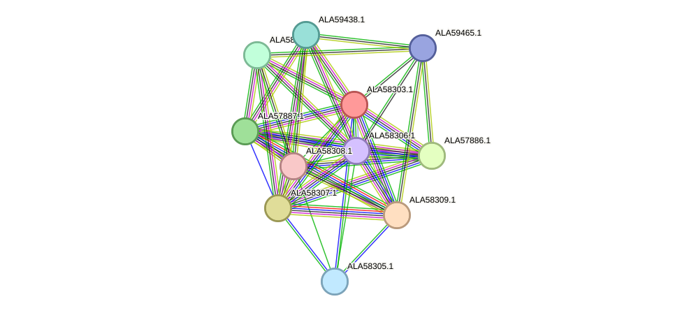 STRING protein interaction network