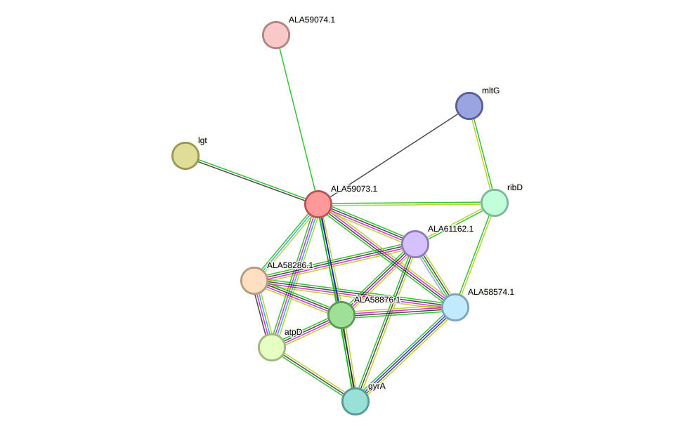 STRING protein interaction network