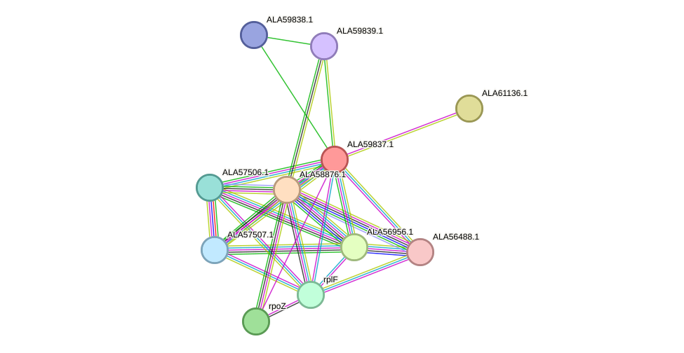 STRING protein interaction network