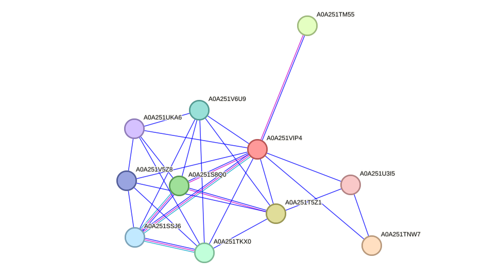 STRING protein interaction network