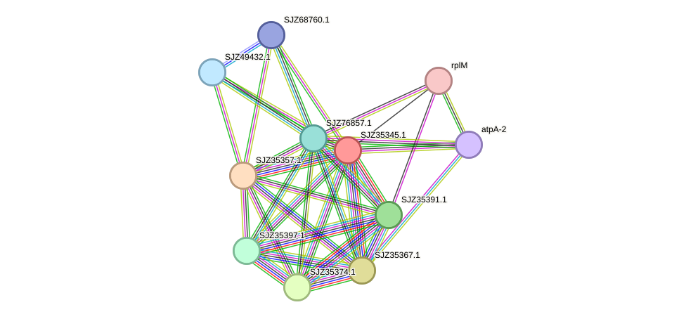 STRING protein interaction network