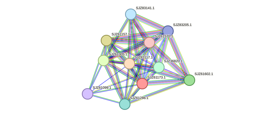 STRING protein interaction network