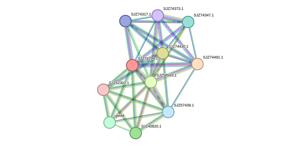 STRING protein interaction network