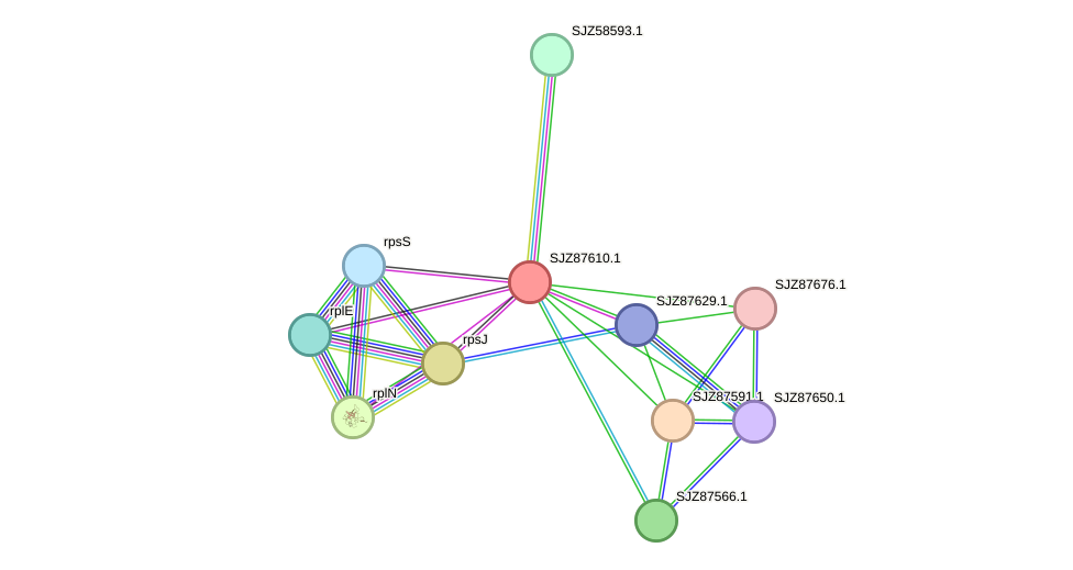 STRING protein interaction network