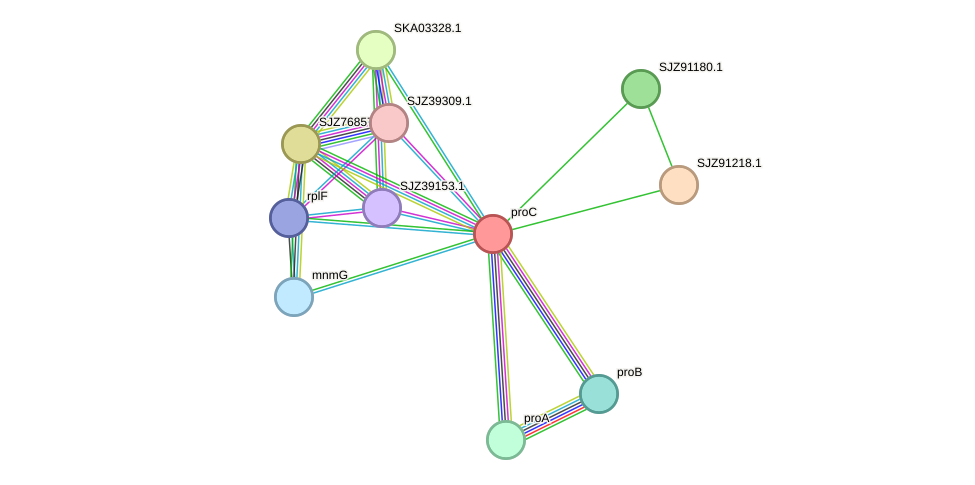 STRING protein interaction network