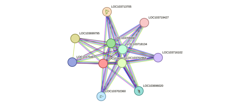 STRING protein interaction network