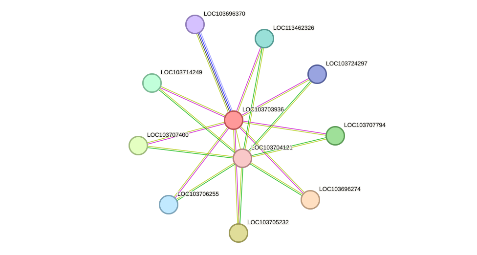 STRING protein interaction network