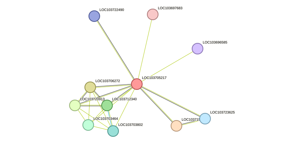 STRING protein interaction network