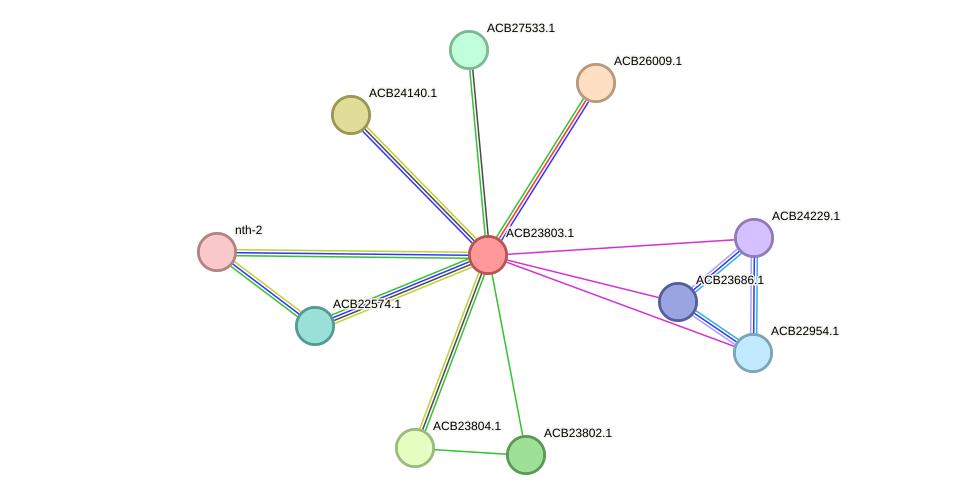 STRING protein interaction network