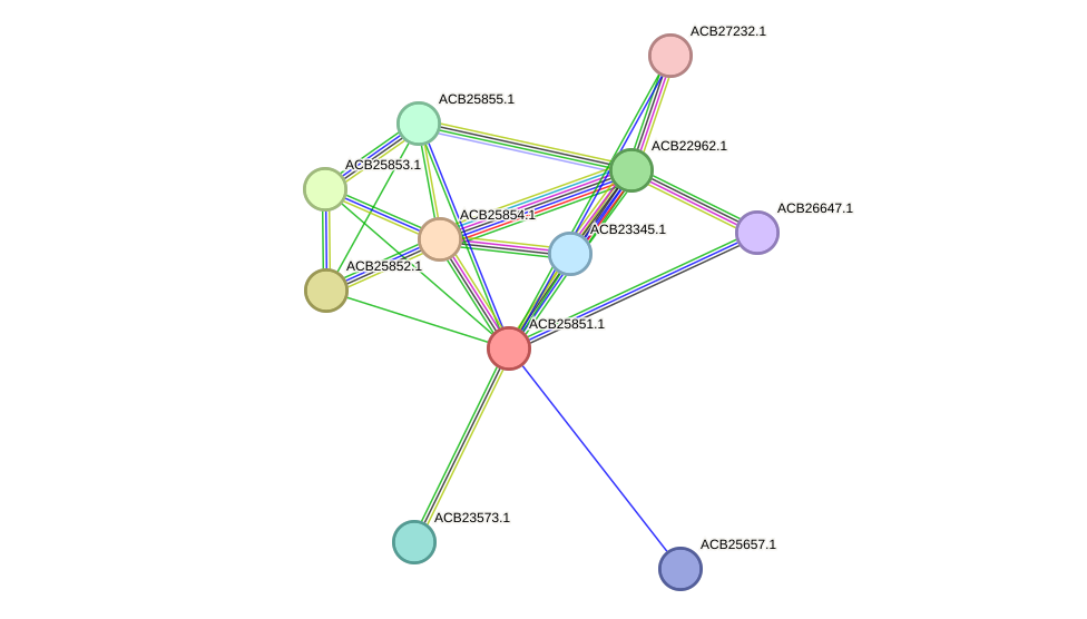 STRING protein interaction network