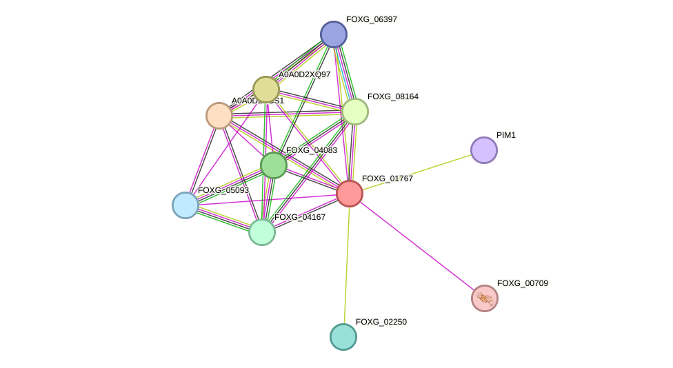 STRING protein interaction network