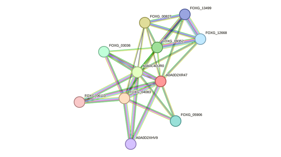 STRING protein interaction network