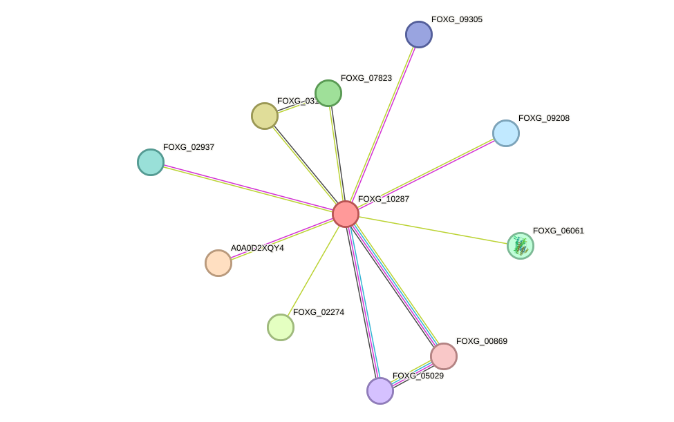 STRING protein interaction network