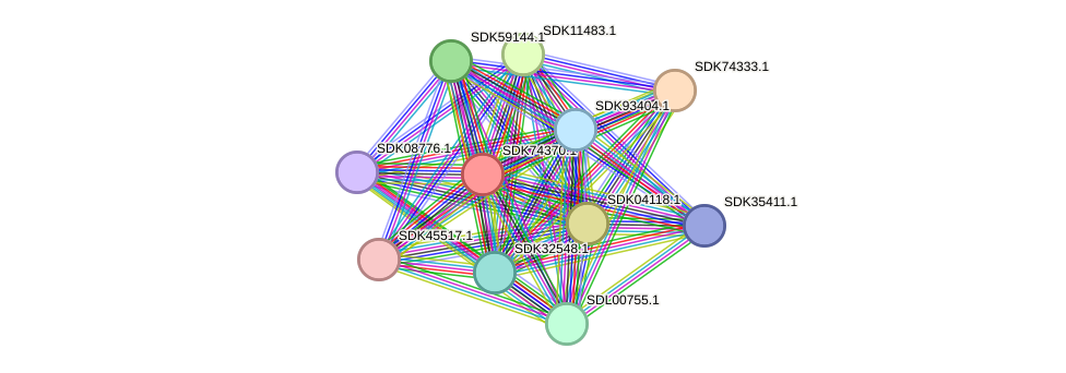 STRING protein interaction network