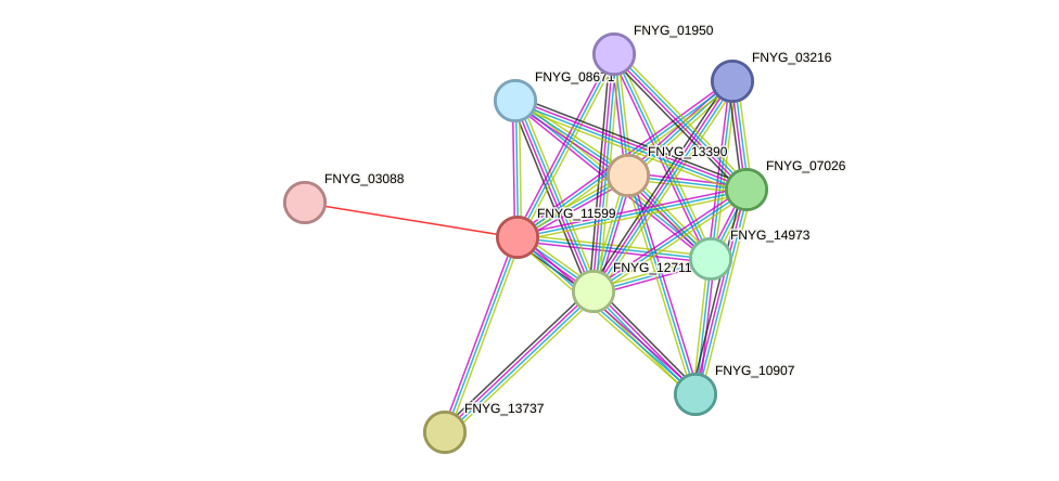 STRING protein interaction network