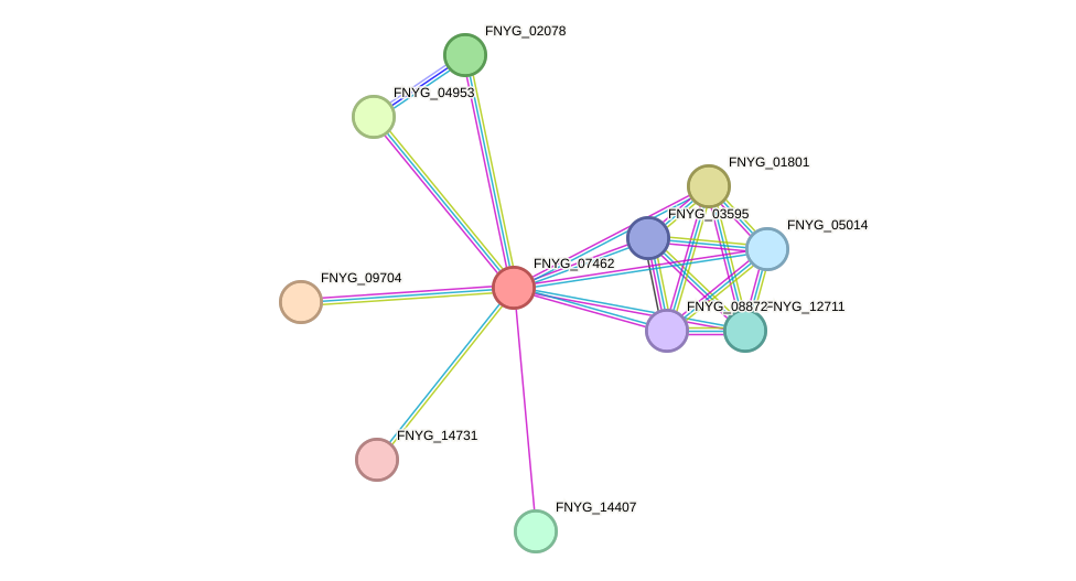 STRING protein interaction network