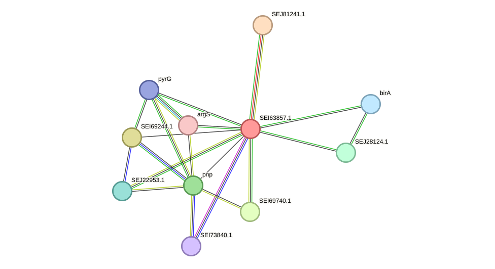 STRING protein interaction network