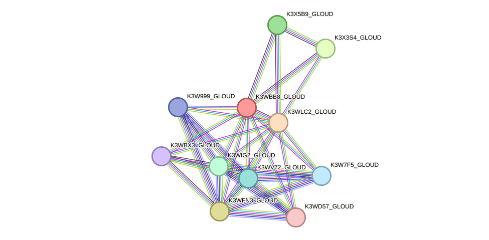 STRING protein interaction network