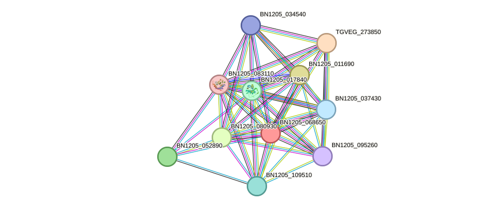 STRING protein interaction network