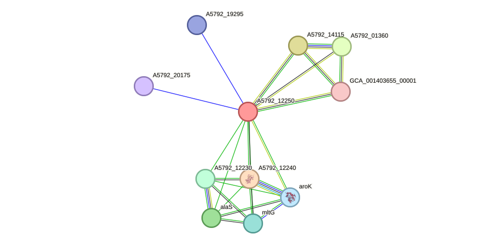 STRING protein interaction network