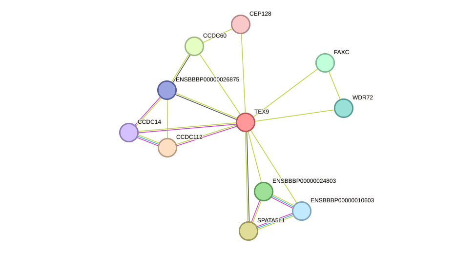 STRING protein interaction network