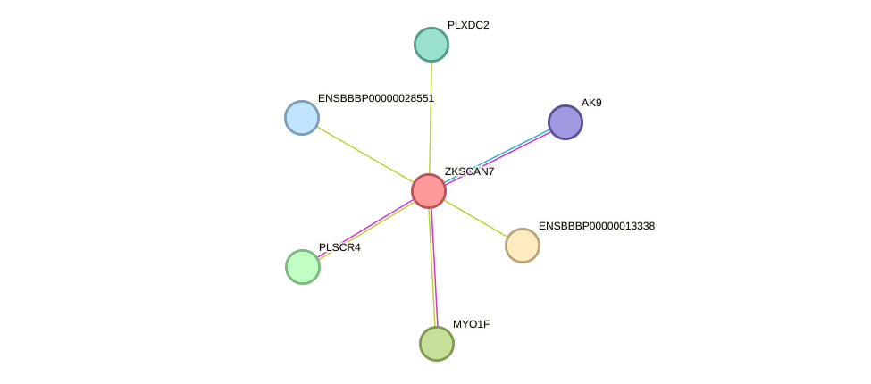 STRING protein interaction network