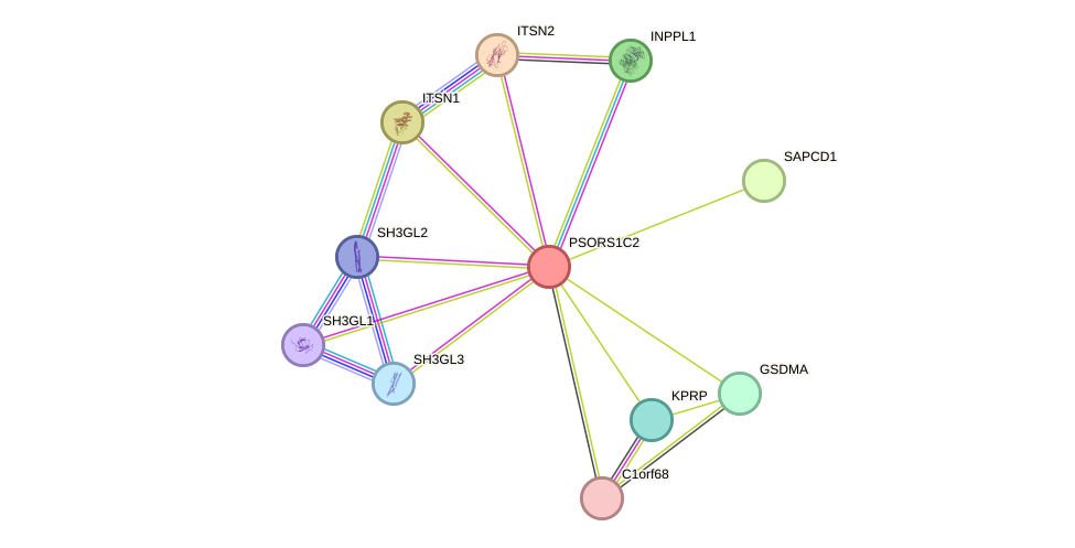 STRING protein interaction network