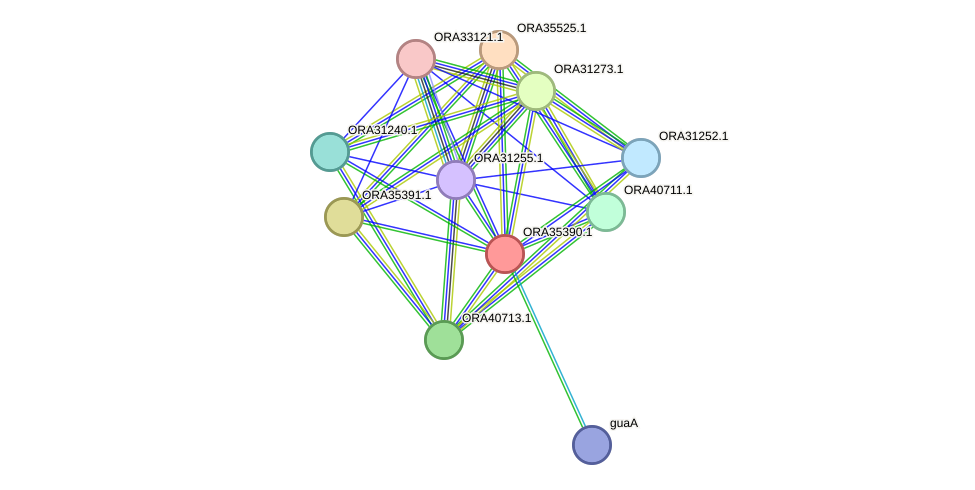 STRING protein interaction network