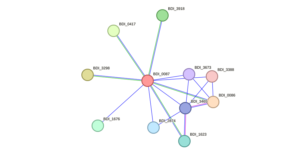 STRING protein interaction network