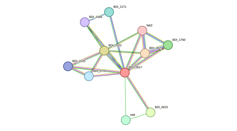 STRING protein interaction network