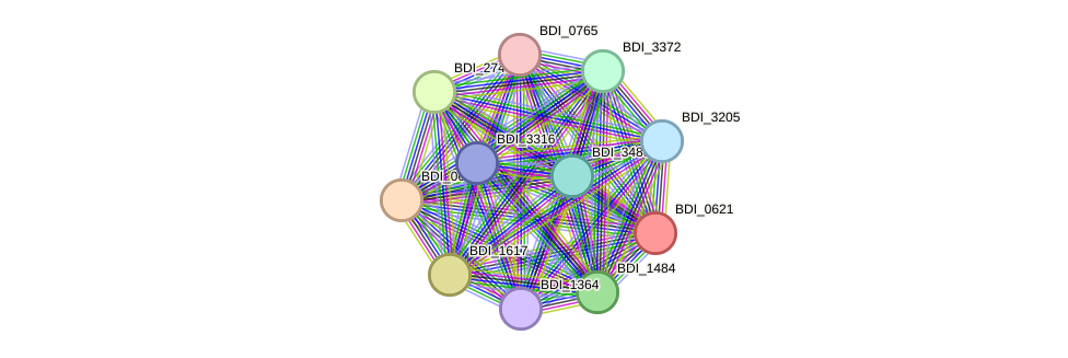 STRING protein interaction network