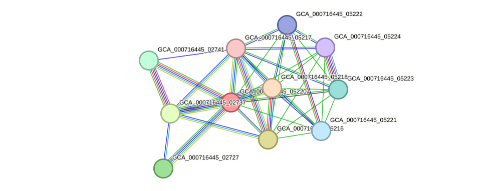 STRING protein interaction network