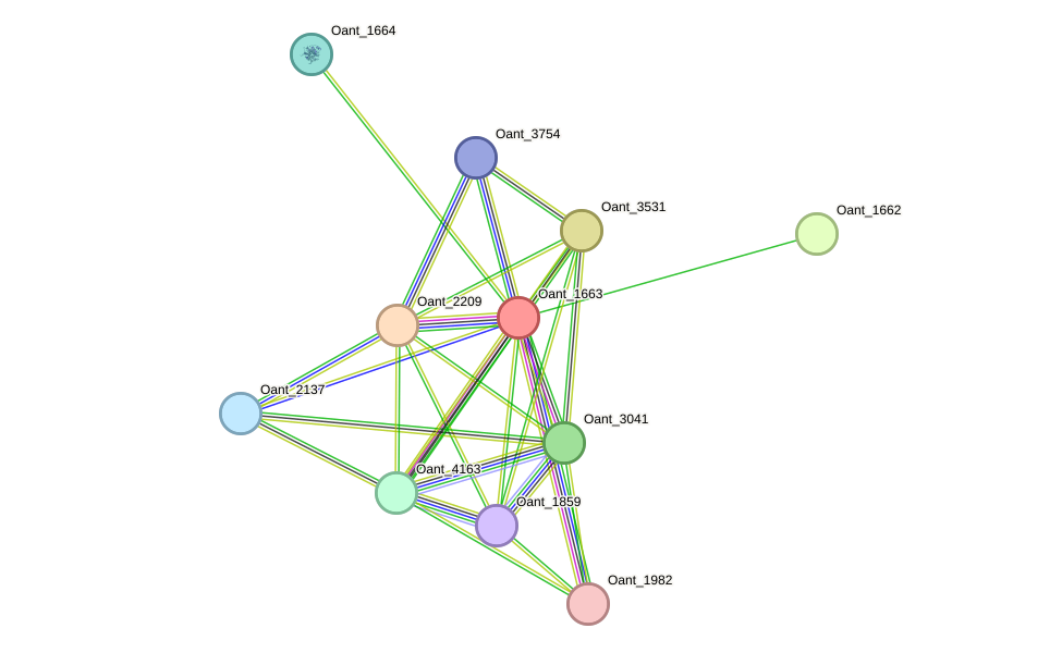 STRING protein interaction network