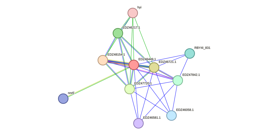 STRING protein interaction network