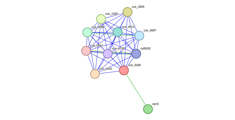 STRING protein interaction network