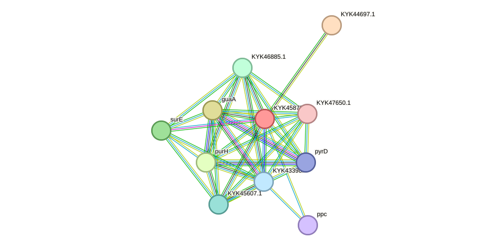 STRING protein interaction network