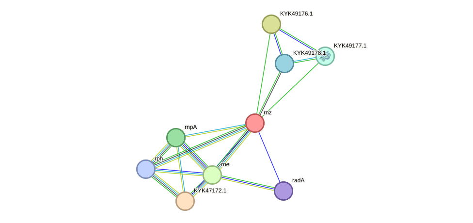 STRING protein interaction network