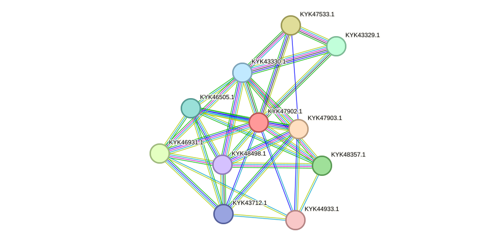 STRING protein interaction network