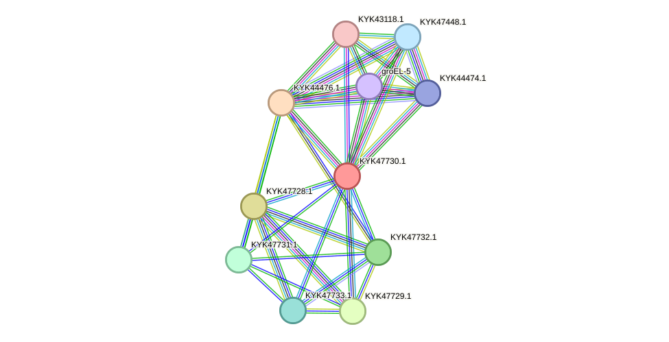 STRING protein interaction network