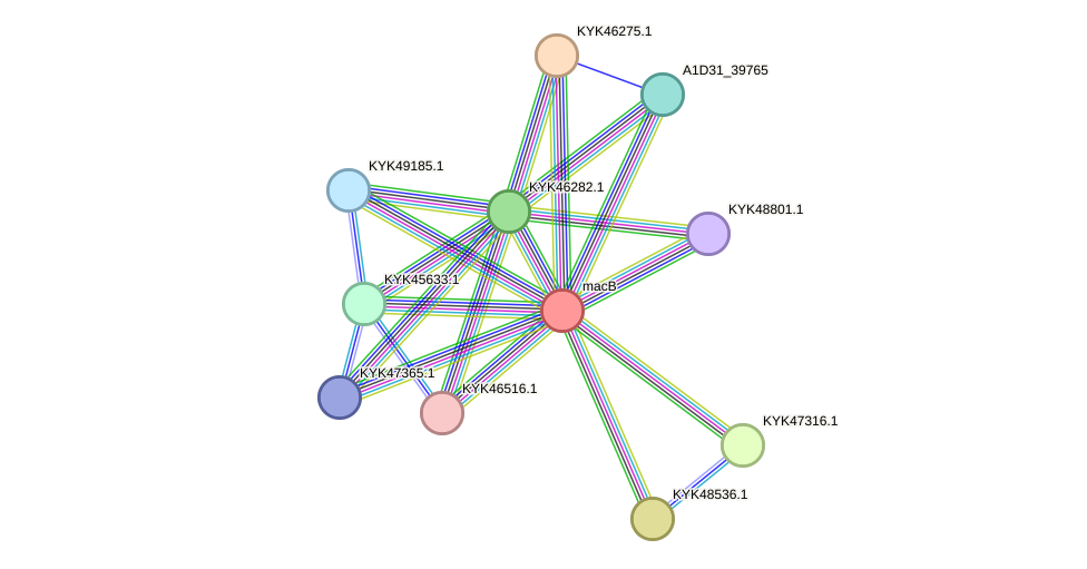 STRING protein interaction network