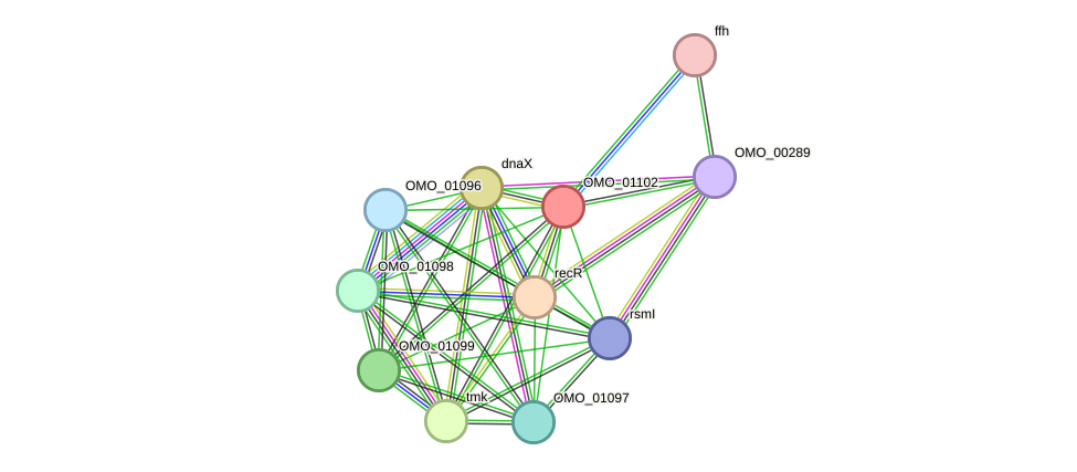 STRING protein interaction network